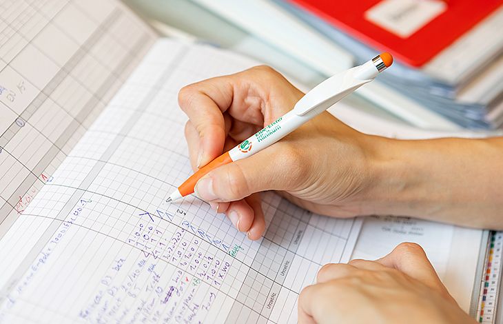 Initiativbewerbung, A. Franke